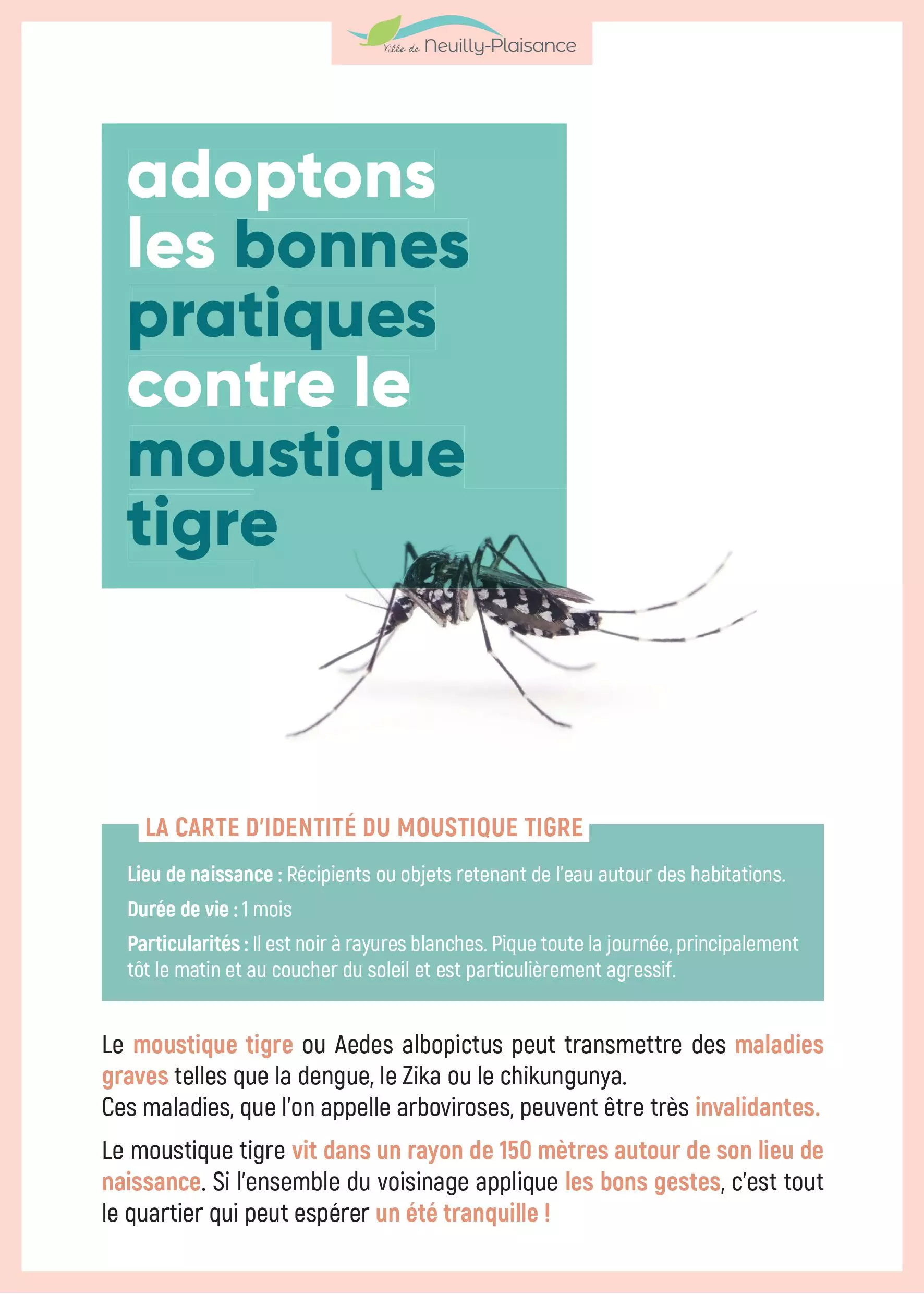 Actualités - Le retour du moustique tigre | Ville de Neuilly-Plaisance