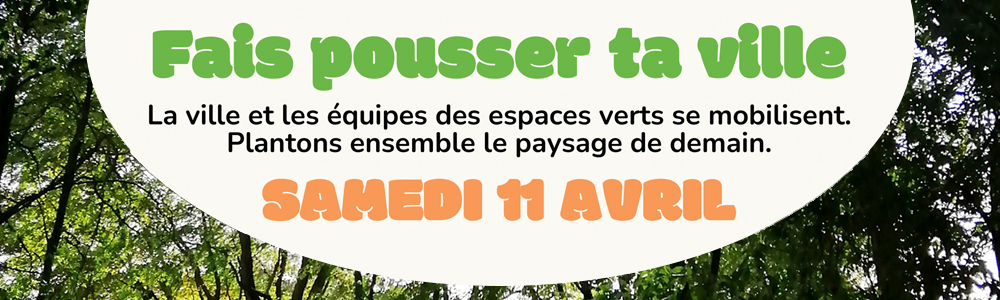 DEF BANDEAU TOURNESOL