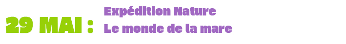 29 MAI : Expédition Nature - Le monde de la mare