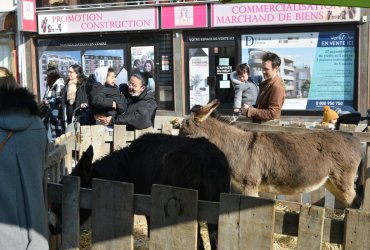 WEEKEND 100% PLAISIR SPÉCIAL ANIMAUX DE LA FERME