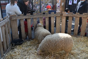 WEEKEND 100% PLAISIR SPÉCIAL ANIMAUX DE LA FERME