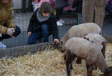 WEEKEND 100% PLAISIR SPÉCIAL ANIMAUX DE LA FERME