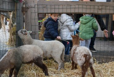 WEEKEND 100% PLAISIR SPÉCIAL ANIMAUX DE LA FERME