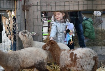 WEEKEND 100% PLAISIR SPÉCIAL ANIMAUX DE LA FERME