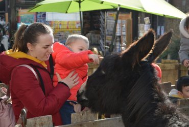 WEEKEND 100% PLAISIR SPÉCIAL ANIMAUX DE LA FERME