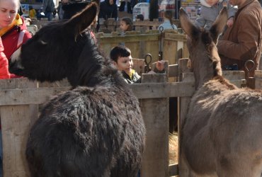 WEEKEND 100% PLAISIR SPÉCIAL ANIMAUX DE LA FERME