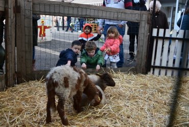 WEEKEND 100% PLAISIR SPÉCIAL ANIMAUX DE LA FERME