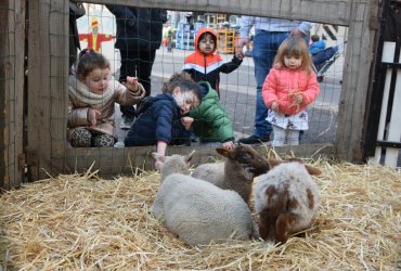 WEEKEND 100% PLAISIR SPÉCIAL ANIMAUX DE LA FERME