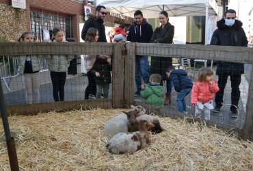 WEEKEND 100% PLAISIR SPÉCIAL ANIMAUX DE LA FERME