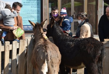 WEEKEND 100% PLAISIR SPÉCIAL ANIMAUX DE LA FERME