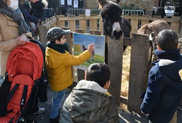 WEEKEND 100% PLAISIR SPÉCIAL ANIMAUX DE LA FERME