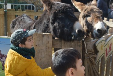 WEEKEND 100% PLAISIR SPÉCIAL ANIMAUX DE LA FERME