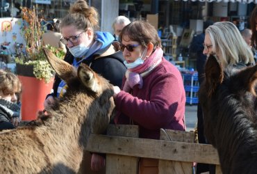 WEEKEND 100% PLAISIR SPÉCIAL ANIMAUX DE LA FERME