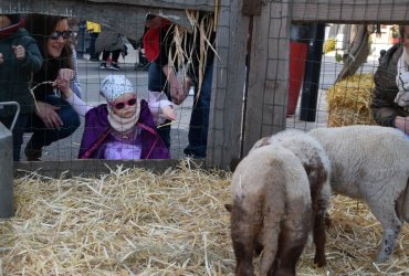 WEEKEND 100% PLAISIR SPÉCIAL ANIMAUX DE LA FERME