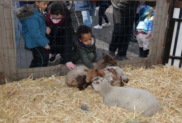 WEEKEND 100% PLAISIR SPÉCIAL ANIMAUX DE LA FERME