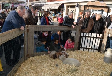 WEEKEND 100% PLAISIR SPÉCIAL ANIMAUX DE LA FERME