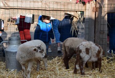 WEEKEND 100% PLAISIR SPÉCIAL ANIMAUX DE LA FERME