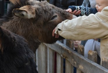 WEEKEND 100% PLAISIR SPÉCIAL ANIMAUX DE LA FERME