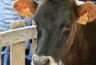 WEEKEND 100% PLAISIR SPÉCIAL ANIMAUX DE LA FERME