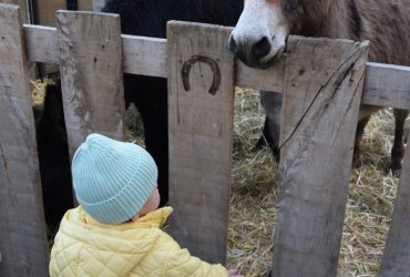 WEEKEND 100% PLAISIR SPÉCIAL ANIMAUX DE LA FERME