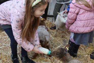 WEEKEND 100% PLAISIR SPÉCIAL ANIMAUX DE LA FERME