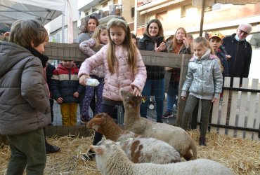 WEEKEND 100% PLAISIR SPÉCIAL ANIMAUX DE LA FERME