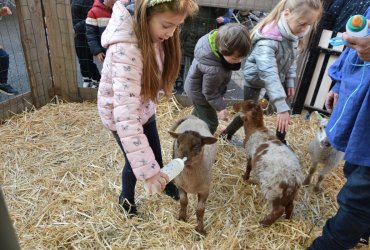 WEEKEND 100% PLAISIR SPÉCIAL ANIMAUX DE LA FERME