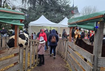 ANIMATIONS DE NOËL COUR DE LA MAIRIE - 21 DÉCEMBRE 2024