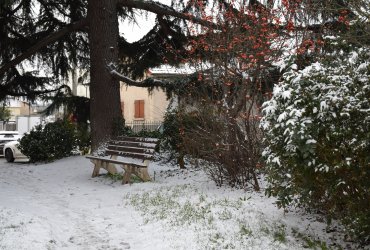 NEUILLY-PLAISANCE SOUS LA NEIGE - FÉVRIER 2021