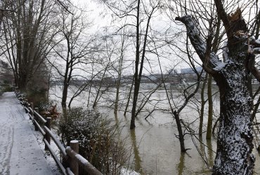 NEUILLY-PLAISANCE SOUS LA NEIGE - FÉVRIER 2021