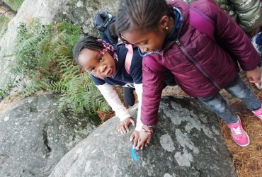 JOURNEE A LA FORET DE FONTAINEBLEAU - MERCREDI 30 SEPTEMBRE 2020