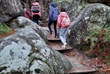 JOURNEE A LA FORET DE FONTAINEBLEAU - MERCREDI 30 SEPTEMBRE 2020