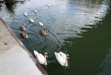 CONCERT À LA TERRASSE DES BORDS DE MARNE - DIMANCHE 11 SEPTEMBRE