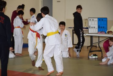 COUPE ACADEMIQUE UNSS DE JUDO JACKY BICHEUX - 17 MAI 2023