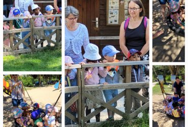 CRÈCHE DU CENTRE : SORTIE AU PARC DES 33 HECTARES