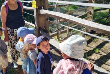 CRÈCHE DU CENTRE : SORTIE AU PARC DES 33 HECTARES