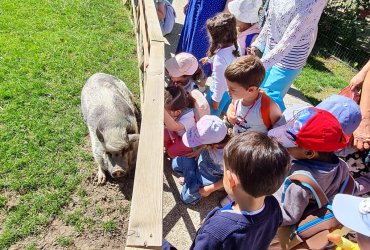 CRÈCHE DU CENTRE : SORTIE AU PARC DES 33 HECTARES