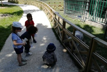 CRÈCHE DU CENTRE : SORTIE AU PARC DES 33 HECTARES