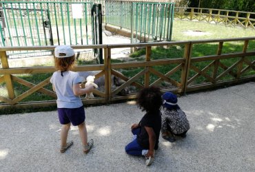 CRÈCHE DU CENTRE : SORTIE AU PARC DES 33 HECTARES