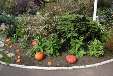 DÉCORATION HALLOWEEN DE LA MAIRIE - LUNDI 19 OCTOBRE 2020