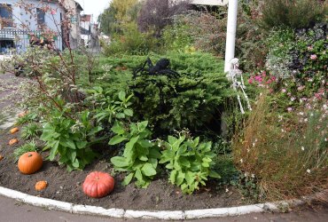 DÉCORATION HALLOWEEN DE LA MAIRIE - LUNDI 19 OCTOBRE 2020