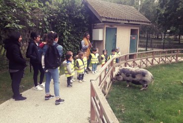 HALTE JEUX SORTIE À LA MÉNAGERIE SAINT-BAUDILE - 23 MAI 2023 