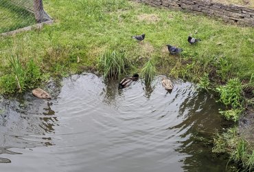 HALTE JEUX SORTIE À LA MÉNAGERIE SAINT-BAUDILE - 23 MAI 2023 