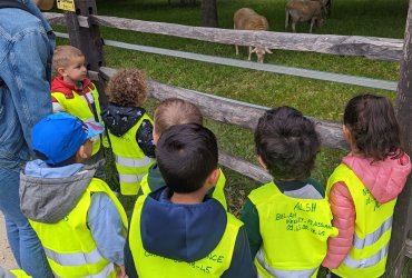 HALTE JEUX SORTIE À LA MÉNAGERIE SAINT-BAUDILE - 23 MAI 2023 