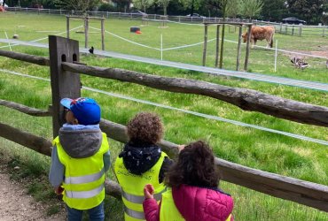 HALTE JEUX SORTIE À LA MÉNAGERIE SAINT-BAUDILE - 23 MAI 2023 