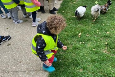 HALTE JEUX SORTIE À LA MÉNAGERIE SAINT-BAUDILE - 23 MAI 2023 