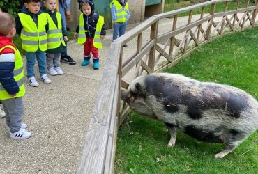 HALTE JEUX SORTIE À LA MÉNAGERIE SAINT-BAUDILE - 23 MAI 2023 