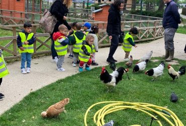 HALTE JEUX SORTIE À LA MÉNAGERIE SAINT-BAUDILE - 23 MAI 2023 