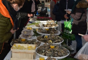 DÉGUSTATION HUÎTRES ET CHARCUTERIES AU MARCHÉ