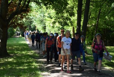 JOURNÉE DE LA RANDONÉE DE L'ASSOCIATION MILLE-PATTES - SAMEDI 3 JUIN 2023